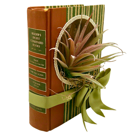 Reader's Digest Book Diorama - J