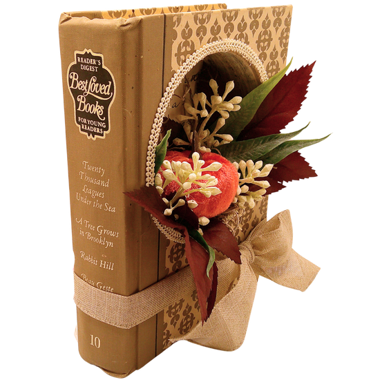 Reader's Digest Book Diorama - K
