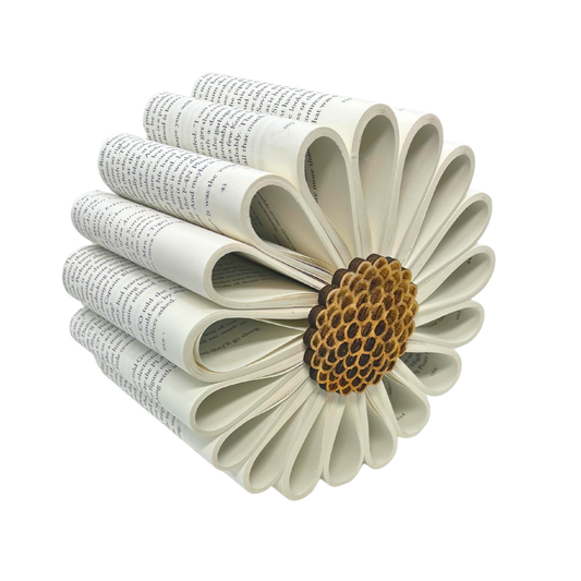 Daisy Roll Book