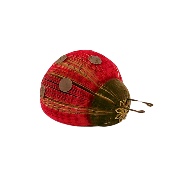 Literary Ladybug
