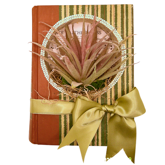 Reader's Digest Book Diorama - J