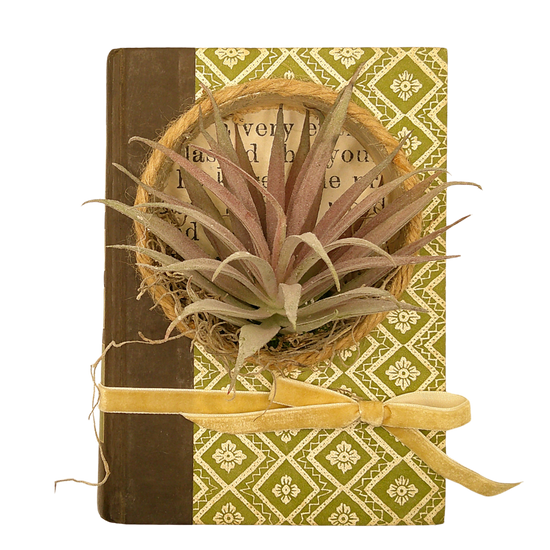 Reader's Digest Book Diorama - I