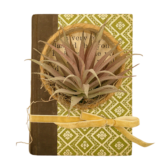 Reader's Digest Book Diorama - I