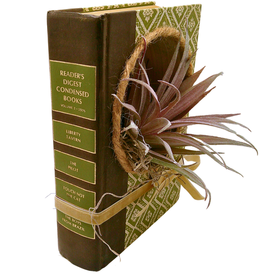 Reader's Digest Book Diorama - I