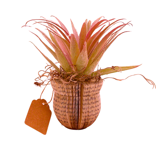 Literary Plant Pot w/Faux Plant - Medium D (Copy)