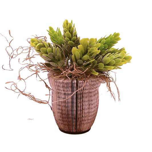 Literary Plant Pot w/Faux Plant - Small C