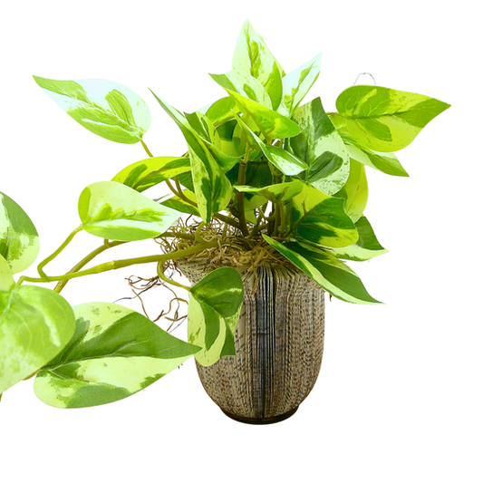 Large Literary Potted Faux Plant A