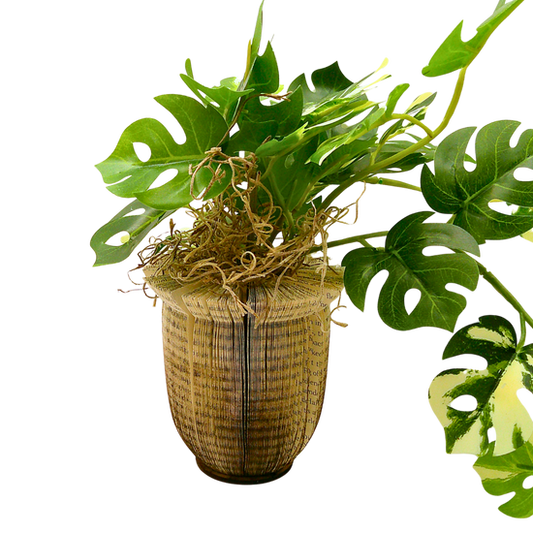 Large Literary Potted Faux Plant B