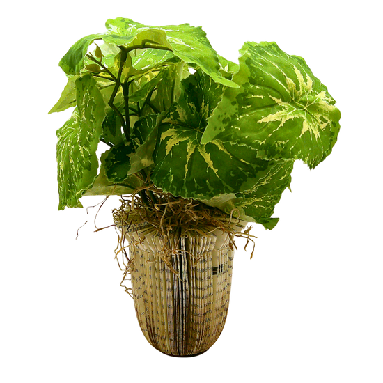 Large Literary Potted Faux Plant C