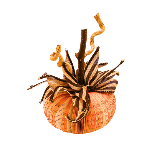 Paperback Pumpkin Mini - Orange