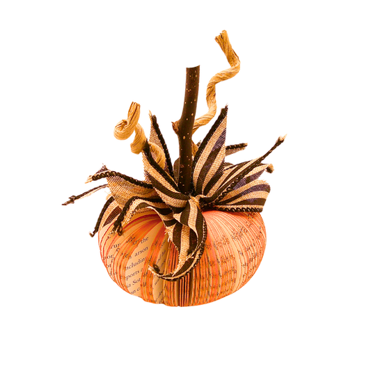 Paperback Pumpkin Mini - Orange